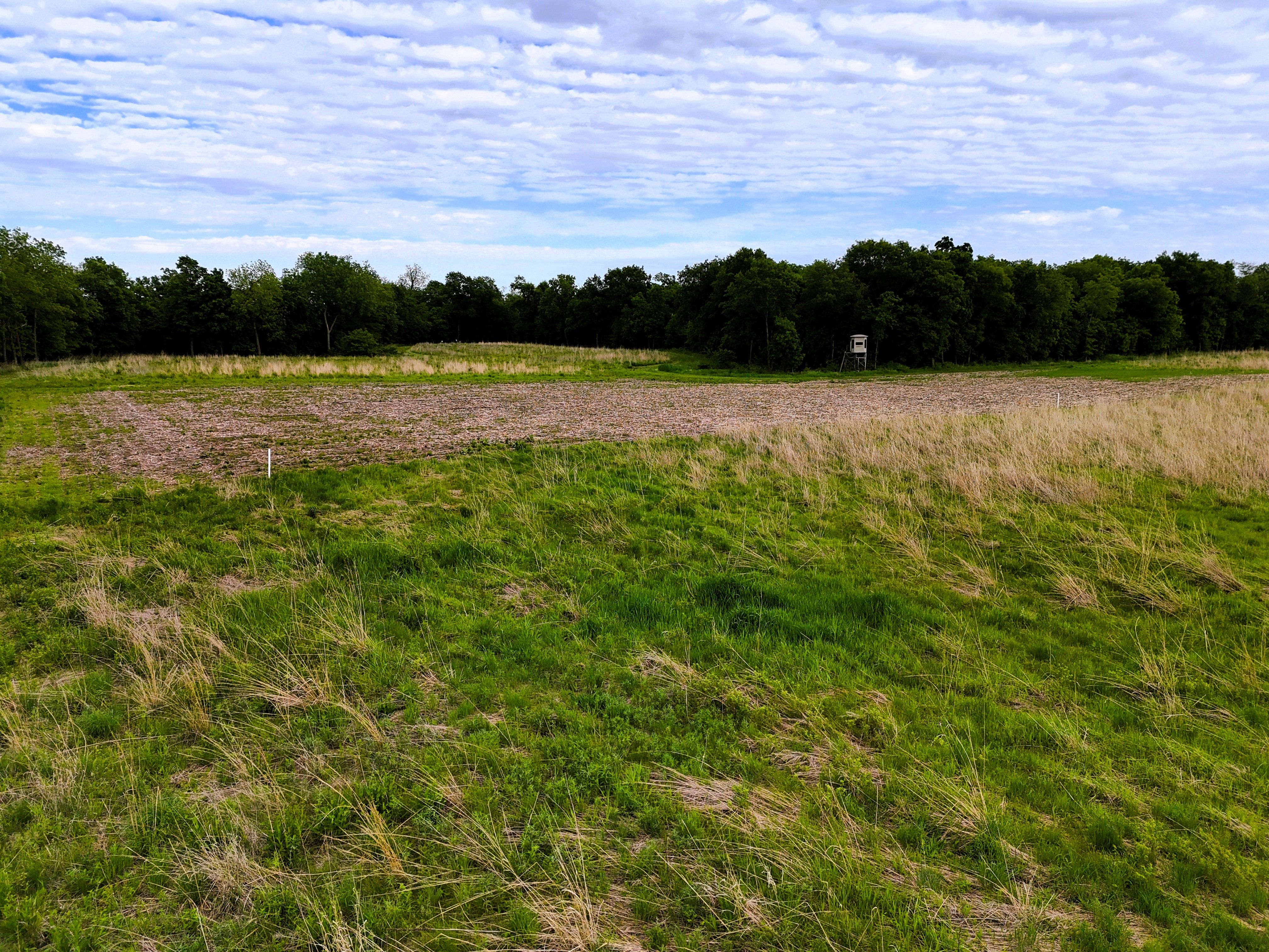 Listing Photo: Ground 7